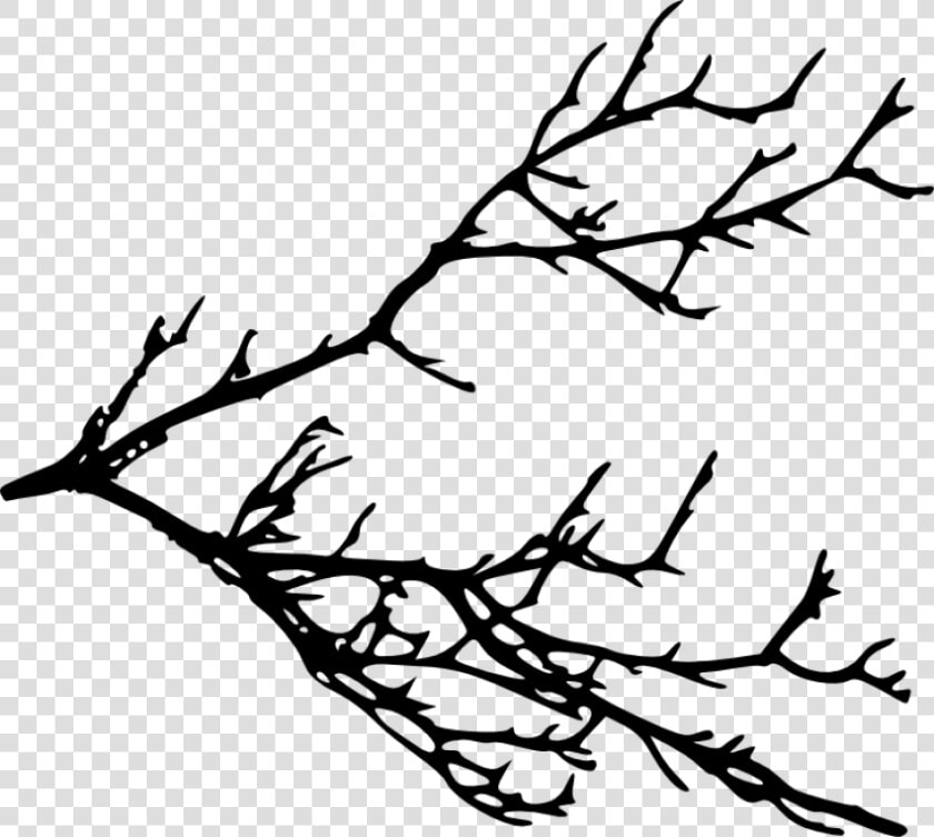 Free Png Tree Branches Silhouette Png Images Transparent   Clip Art Tree Branches  Png DownloadTransparent PNG