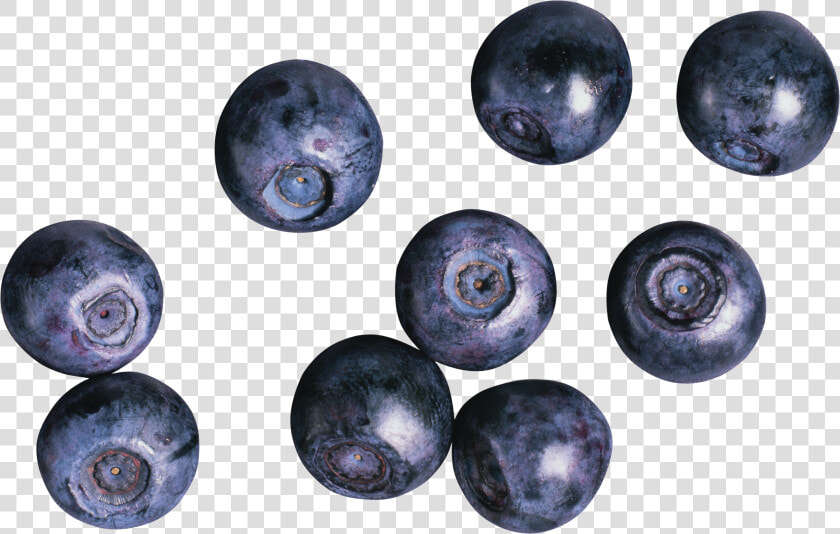 Blueberries Png   Black Currant Or Blueberries  Transparent PngTransparent PNG