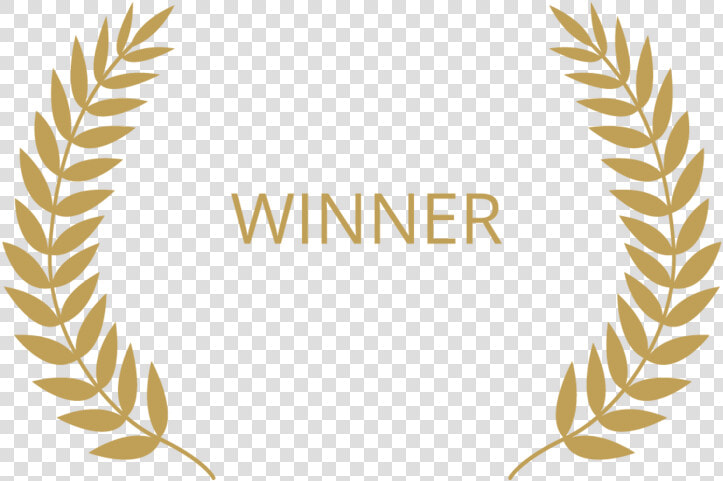 Award Winning Png Transparent Image   Award Winner Png  Png DownloadTransparent PNG