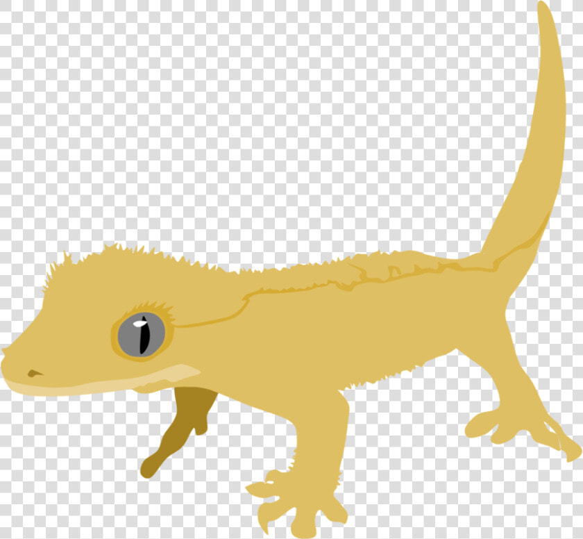 Transparent Gecko Clipart   Crested Gecko Clip Art  HD Png DownloadTransparent PNG