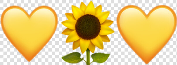  sunflower  emoji  iphone   Sunflower Emoji Iphone Png  Transparent PngTransparent PNG