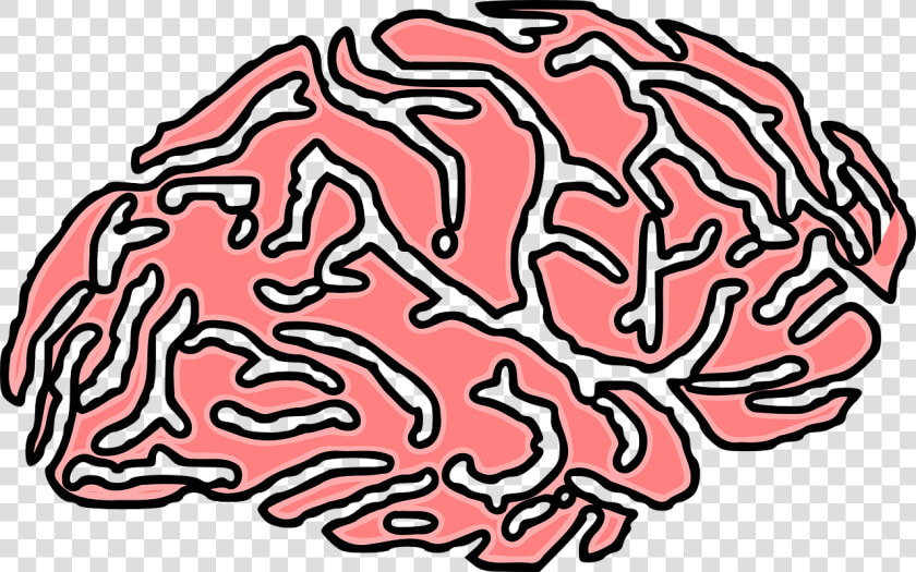 Forgetful Brain  HD Png DownloadTransparent PNG