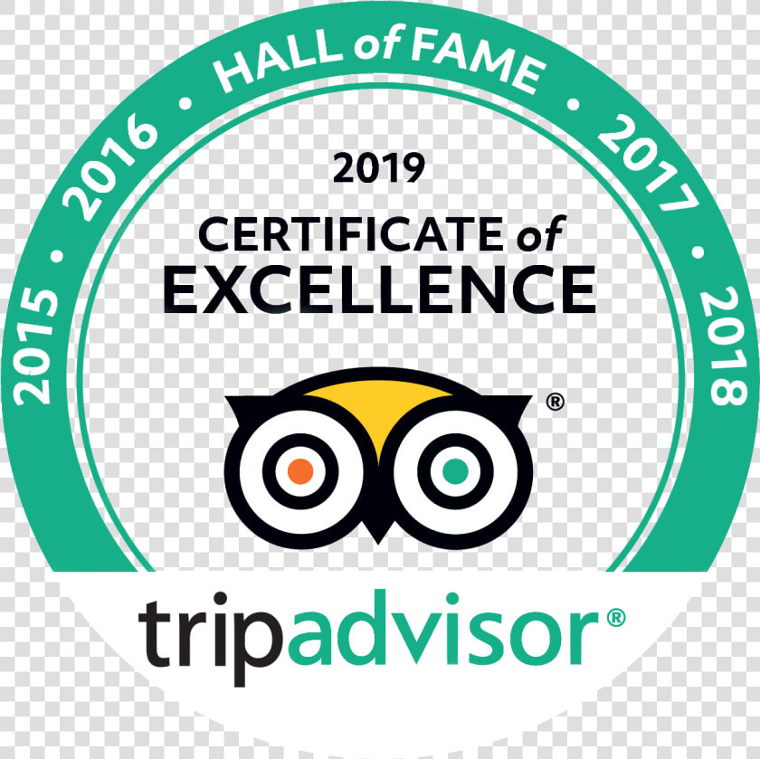 Trip Advisor  HD Png DownloadTransparent PNG