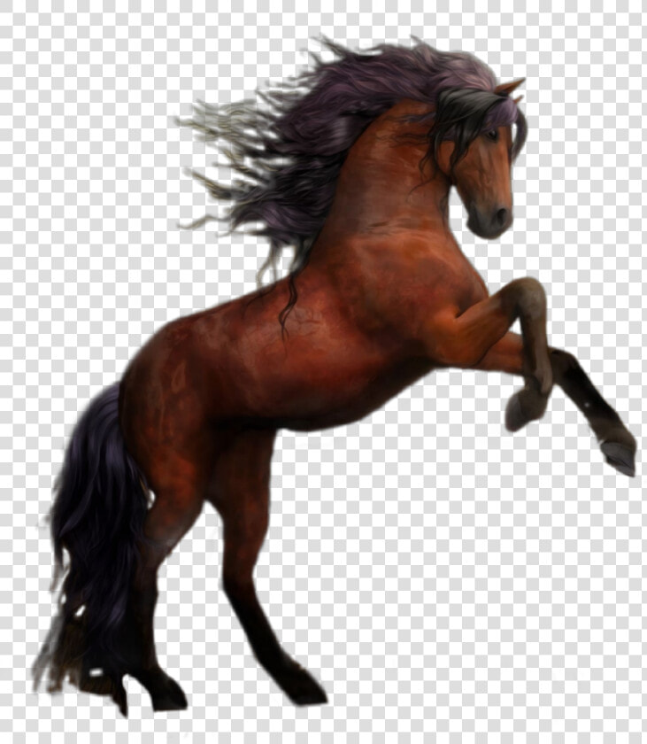  caballo  marron   Two Horses  HD Png DownloadTransparent PNG