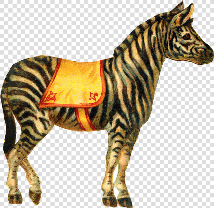 Zebra Circus   Vintage Circus Poster Animals  HD Png DownloadTransparent PNG