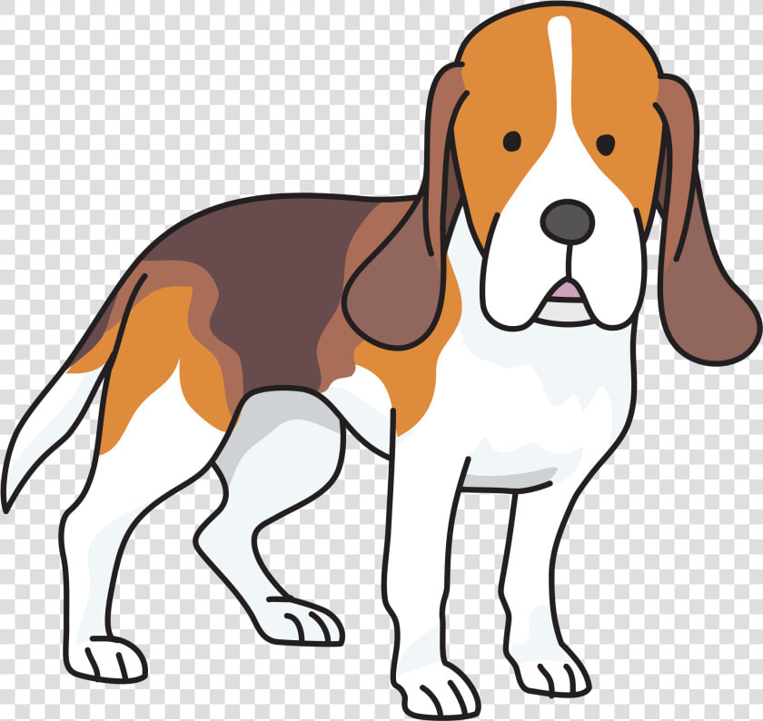 Beagle Puppy Basset Hound Foxhound Clip Art   Beagle Clipart Png  Transparent PngTransparent PNG