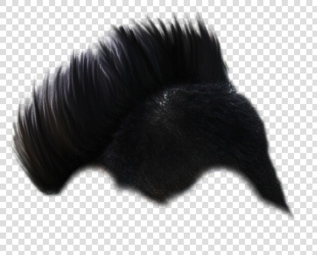 Cb Hair Png picsartallpng   Danish Zehen Background Images Hd  Transparent PngTransparent PNG