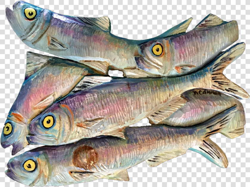 W Img 6571 2 Herring 3   Lunge  HD Png DownloadTransparent PNG