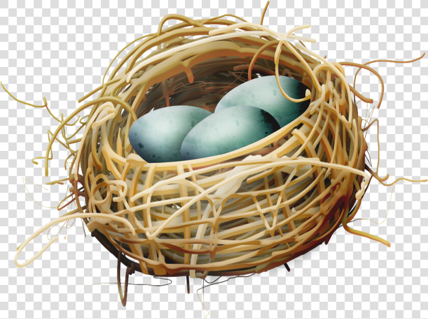 Bird Nest Egg   Bird Nest With Eggs Clipart  HD Png DownloadTransparent PNG