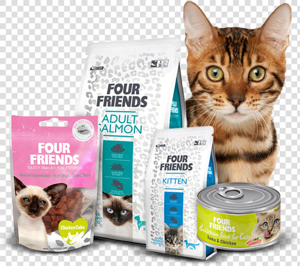 Thumb Image   Dog And Cat Foods  HD Png DownloadTransparent PNG