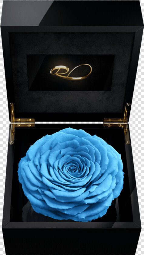 Luxury Video Flower Box Magna With A Xl Preserved Blue  HD Png DownloadTransparent PNG