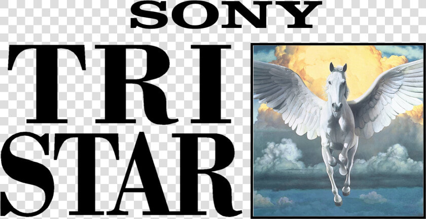 Tristar Pictures Logo Png  Transparent PngTransparent PNG