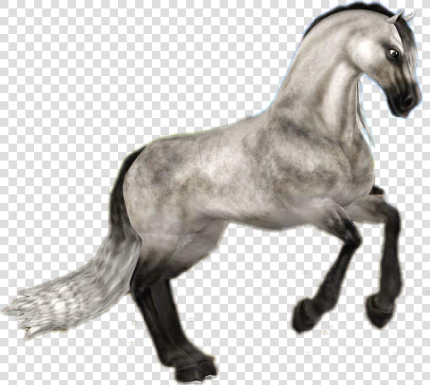  starstableonline  starstable  sso  horse  andalusian   Star Stable Andalusian Png  Transparent PngTransparent PNG