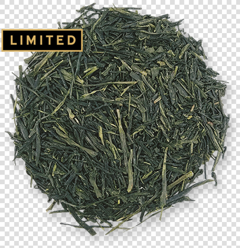 Tsuyuhikari Sencha Loose Leaf Green Tea From The Jasmine   Shincha  HD Png DownloadTransparent PNG