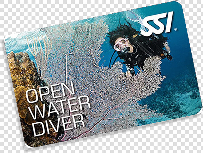 Open Water Diver  HD Png DownloadTransparent PNG