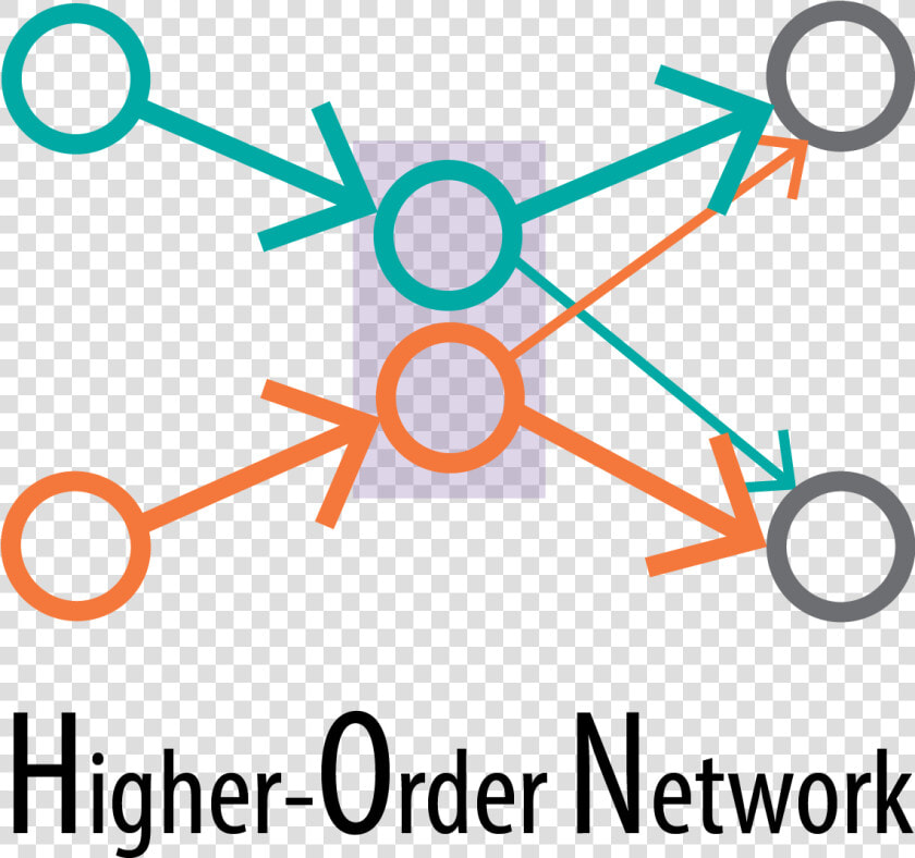 Higher order Network   Higher Order Network  HD Png DownloadTransparent PNG