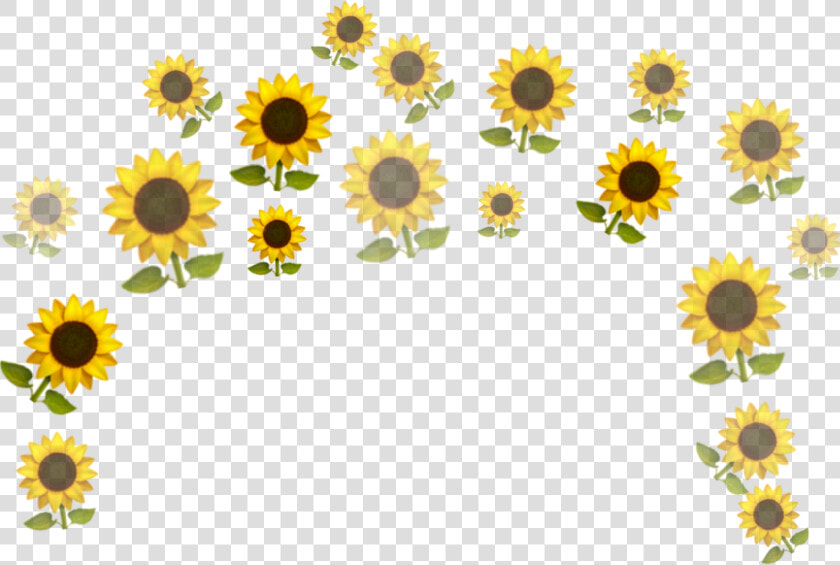 Sunflower 🌻🌻🌻   Vector Tumblr Sunflower Png  Transparent PngTransparent PNG