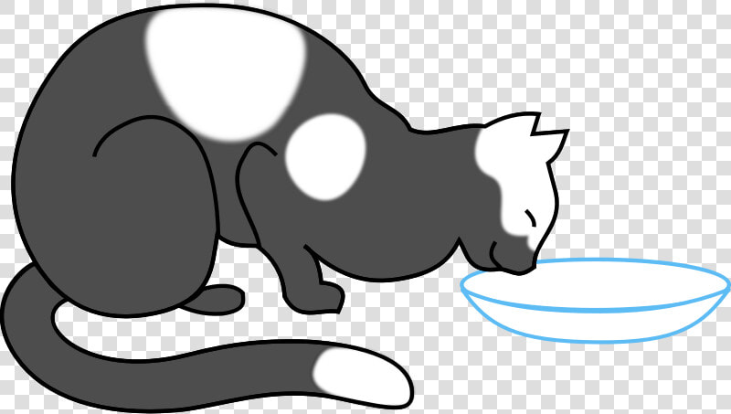 Cat Eating   Cat Humor   Cat Drinking Milk Clipart  HD Png DownloadTransparent PNG