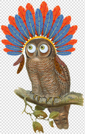 Owl  Vintage  Bird  Nature  Composing  Headdress   Owl  HD Png DownloadTransparent PNG