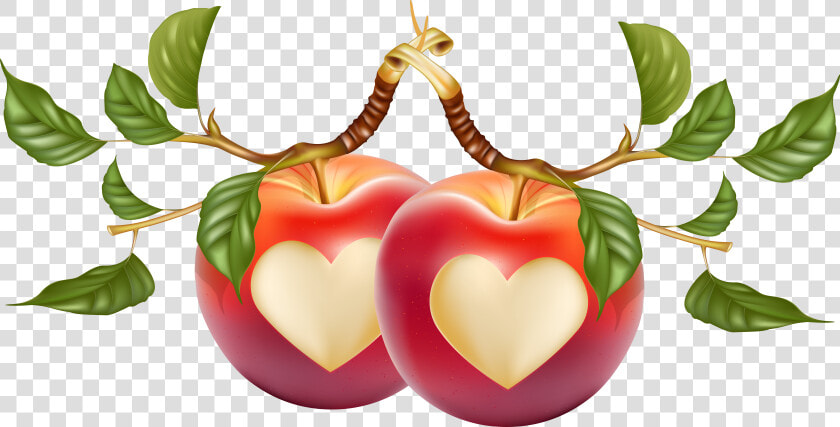 Transparent Fruits Clipart   Heart Shaped Apple Png  Png DownloadTransparent PNG