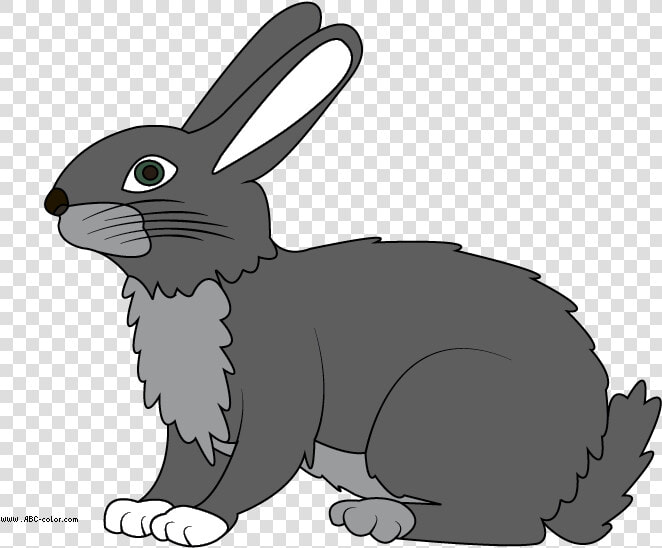 Hare   Clipart     Hare Clipart  HD Png DownloadTransparent PNG