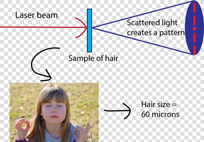 Supporting Image   Measure The Width Of A Hair  HD Png DownloadTransparent PNG