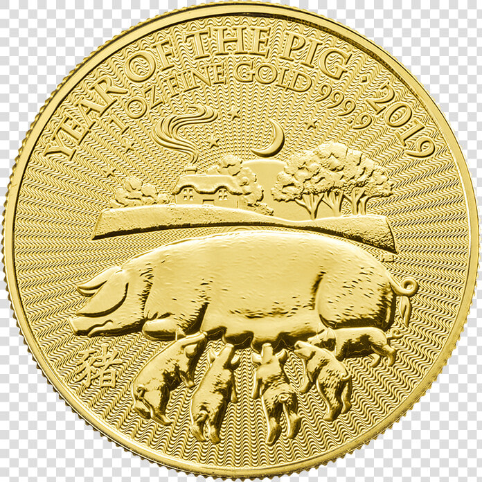 Lunar 2019 Year Of The Pig 1 Oz Gold Coin Src Https   Gold Coin Year Of The Pig 1 Oz 2019  HD Png DownloadTransparent PNG