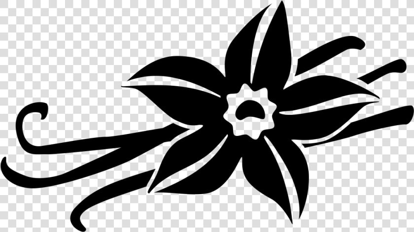 Vanilla By Laymik For The Noun Project   Black And White Vanilla Flower  HD Png DownloadTransparent PNG