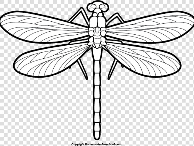 Dragonfly Clipart Scroll   Dragonfly Black And White Clip Art  HD Png DownloadTransparent PNG