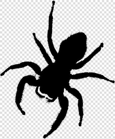 Transparent Spider Silhouette  Spider Png Image   Fantasy Spider Png  Png DownloadTransparent PNG