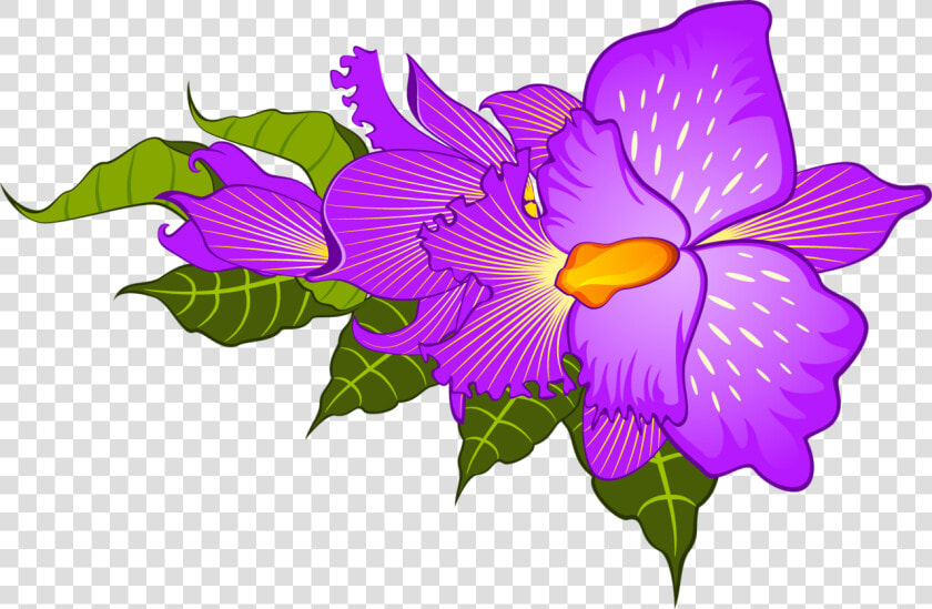 Viola  HD Png DownloadTransparent PNG