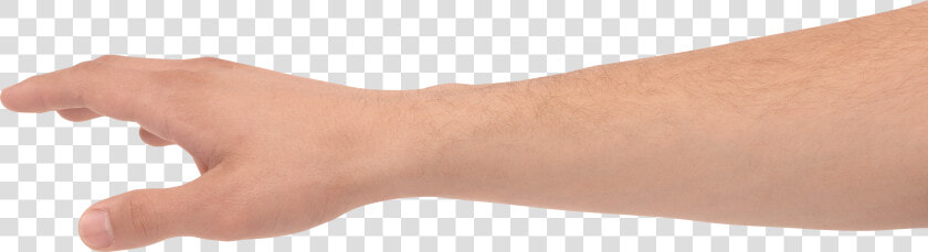 Hands Png  Hand Image Free   Grabbing Hand Png  Transparent PngTransparent PNG