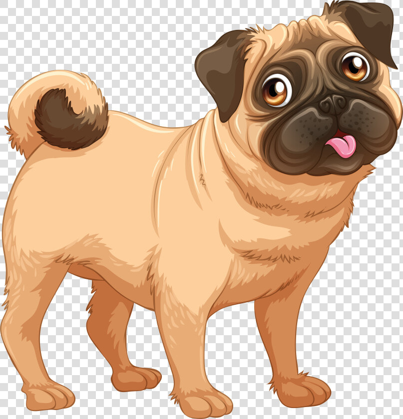 Pug Dobermann Puppy Labrador Retriever Vector Graphics  HD Png DownloadTransparent PNG