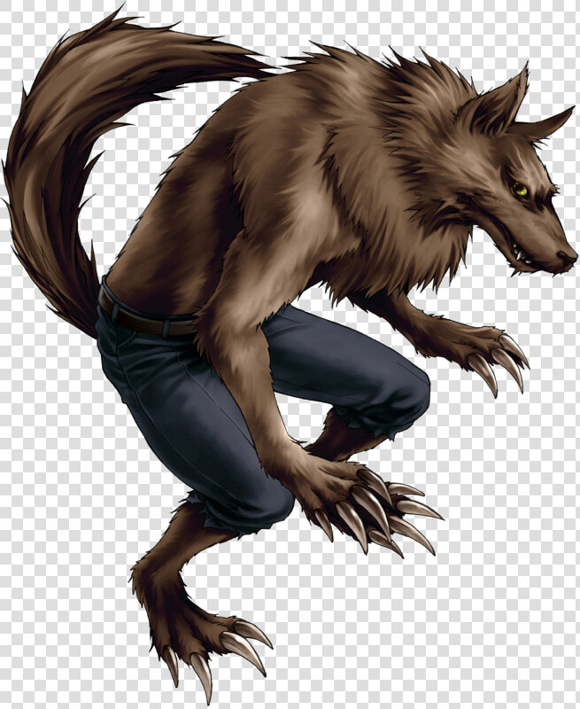 Werewolf Image  HD Png DownloadTransparent PNG