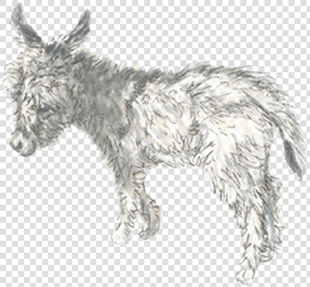 Drawn Donkey Burro   Burro  HD Png DownloadTransparent PNG