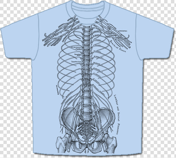 Nerves short  HD Png DownloadTransparent PNG