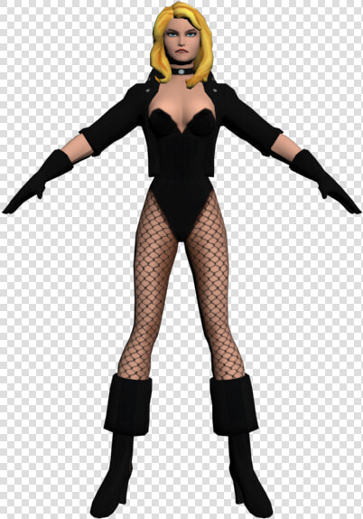 Download Zip Archive   Black Canary 3d Model  HD Png DownloadTransparent PNG