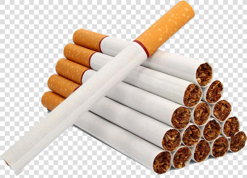 Realistic Cigarette Png Image Download   Roll Your Own Cigarette  Transparent PngTransparent PNG