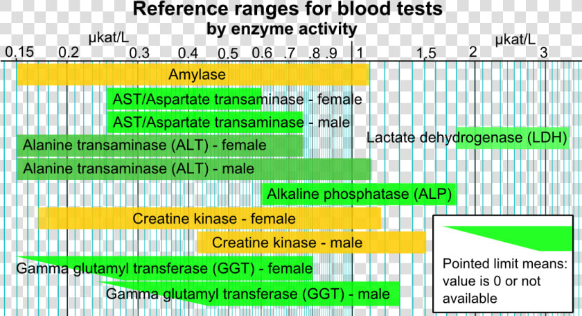 Reference Ranges For Blood Tests   Enzyme Blood Test  HD Png DownloadTransparent PNG