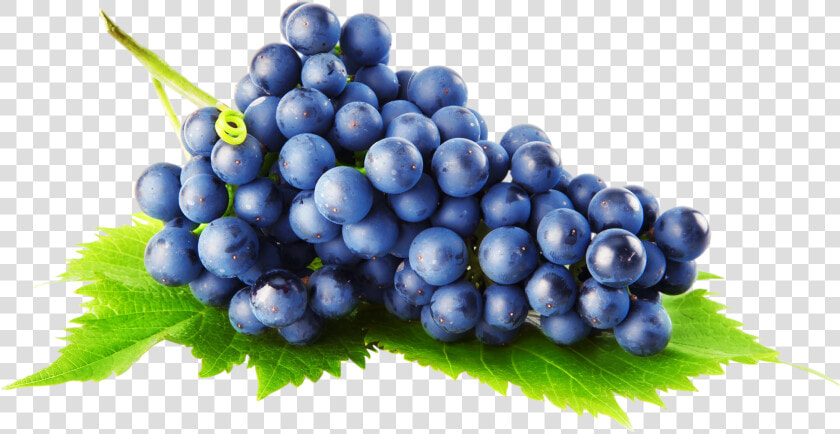 Grapes Png Image   Grapes Transparent Background  Png DownloadTransparent PNG