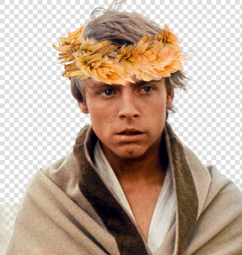 Young Mark Hamill Star Wars   Luke Skywalker Premier Star Wars  HD Png DownloadTransparent PNG