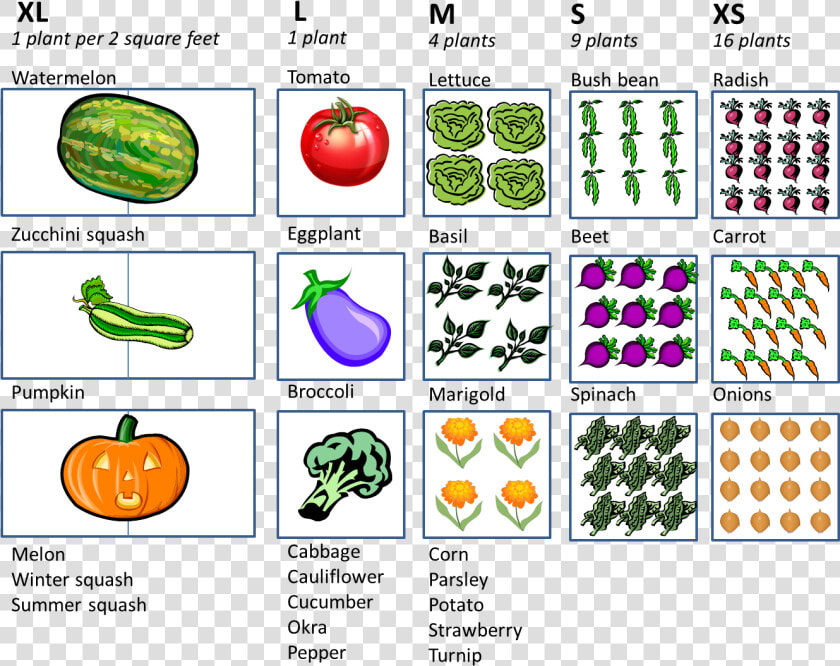 Square Foot Gardening Planting Guide  HD Png DownloadTransparent PNG