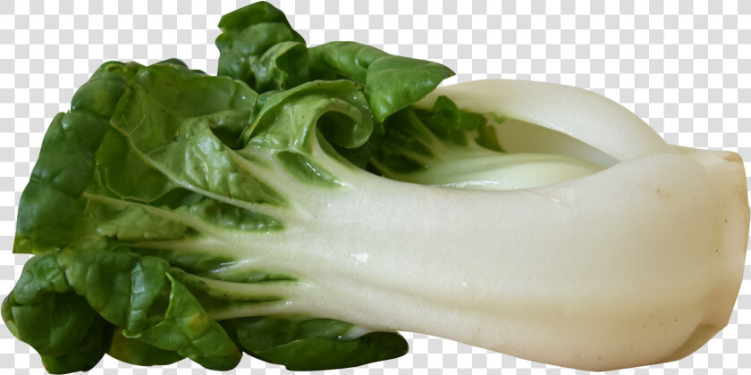 Vegetables Png Images   Bok Choy  Transparent PngTransparent PNG