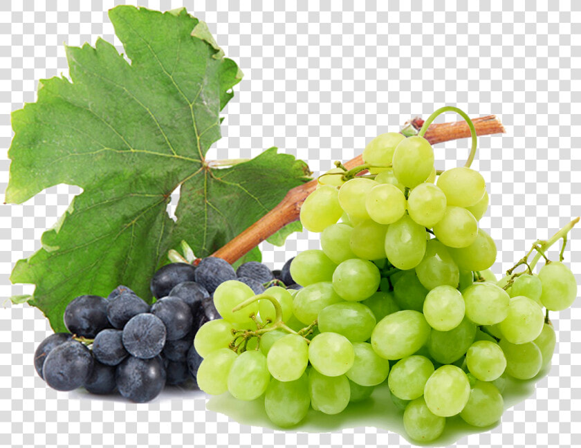 Grapes Free Png Image   Grapes Green Purple Png  Transparent PngTransparent PNG