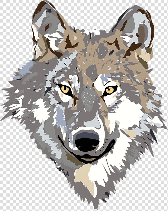 Wolf  Face  Head  Gray  Brown  Animal  Wild  Predator   Wolf Clipart Png  Transparent PngTransparent PNG