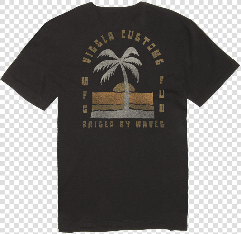 Vissla  HD Png DownloadTransparent PNG