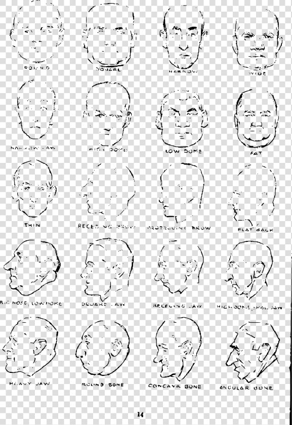 Andrew Loomis Drawing The Head And Hands 10 Clip Arts   Drawing  HD Png DownloadTransparent PNG