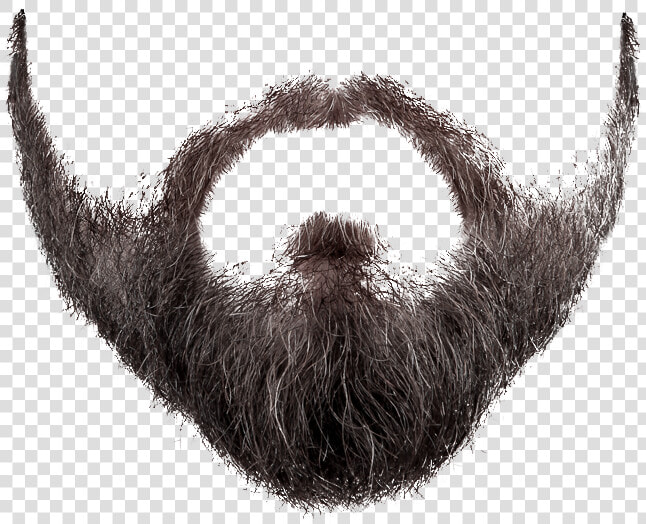 Graphic Free Clip Art And Moustache Transprent Png   Transparent Background Beard Png  Png DownloadTransparent PNG