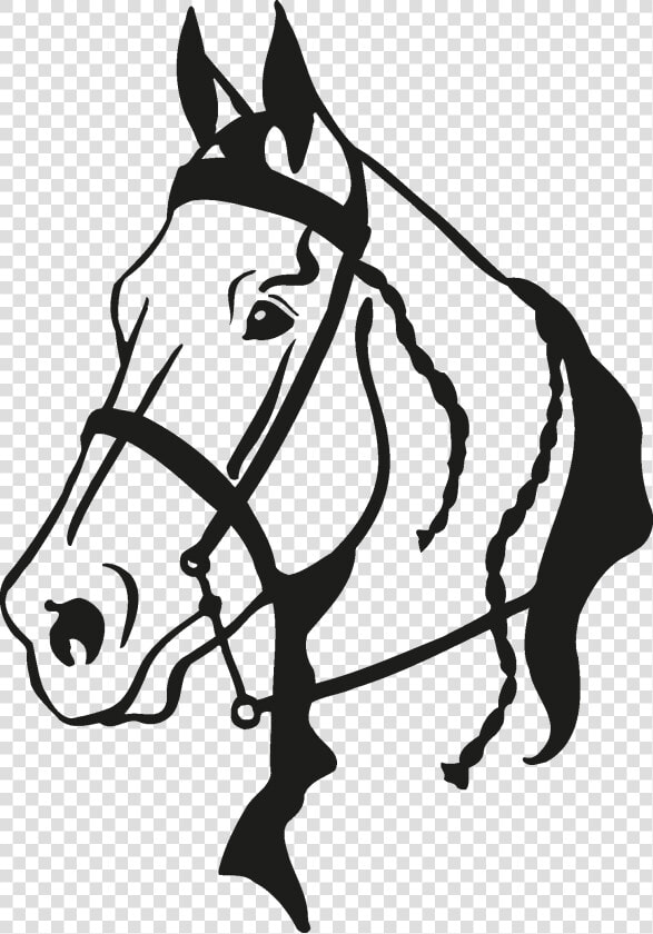 Horse Head Silhouette Png   Vector Horse Head Silhouette  Transparent PngTransparent PNG