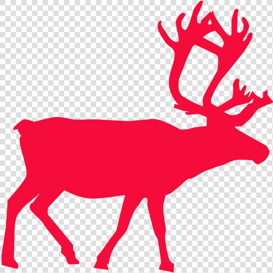 Null   Reindeer Clipart  HD Png DownloadTransparent PNG